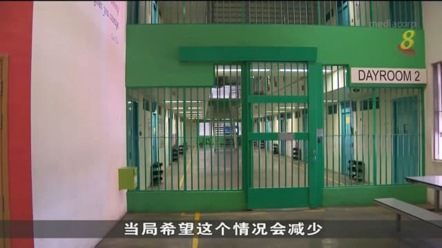 四成释囚五年内重犯 杨莉明：将加强改造计划
