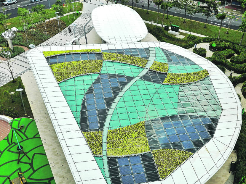 Water retention and holding facilities have been installed in several City Developments Limited building projects, such as City Square Mall, along Kitchener Road, where plants are grown on green roofs to slow down storm water run-off. Photo: City Developments Limited