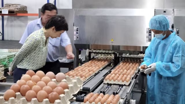 职总平价宣布开拓新鸡蛋供应源 从文莱进口鸡蛋