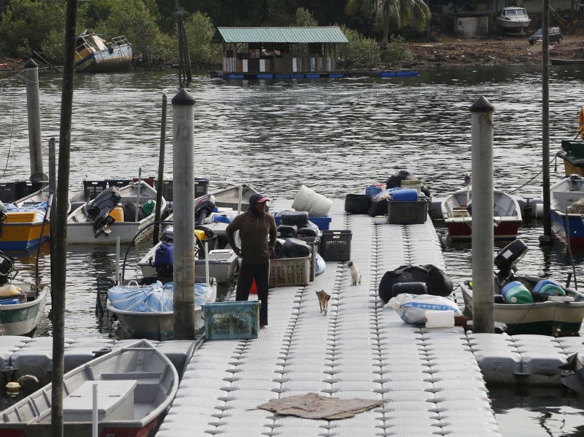 Mega projects off Johor hit fishermen livelihood