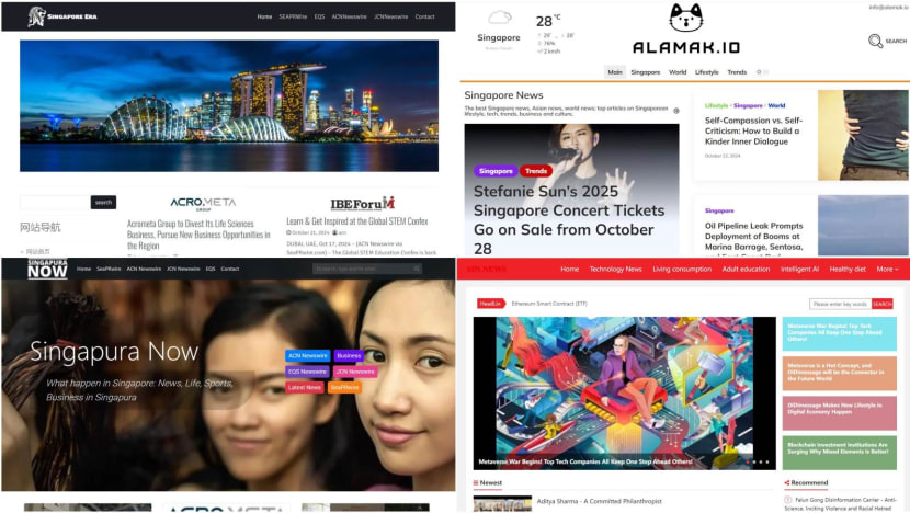 Singapore blocks 10 websites set up by foreign actors over potential hostile information threat