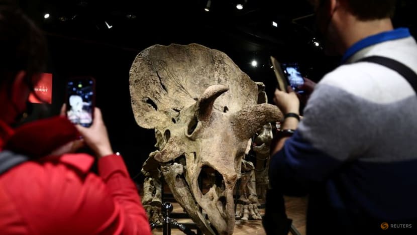 Remains of 'Big John', largest known triceratops, fetch nearly US$8 million