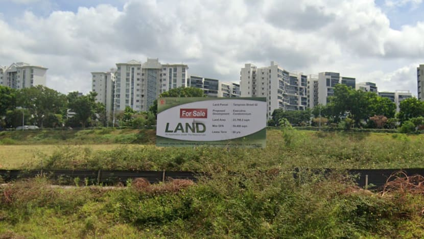 Government maintains 'moderate supply' of land for private housing; new sites at one-north, Tampines Street 62