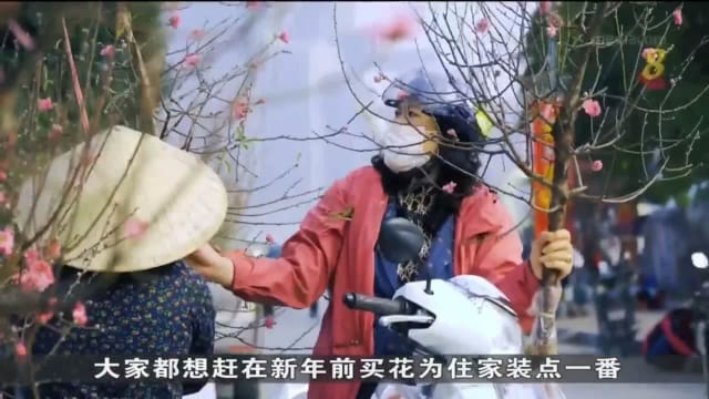 农历新年将至 越南人赶在新年前买花