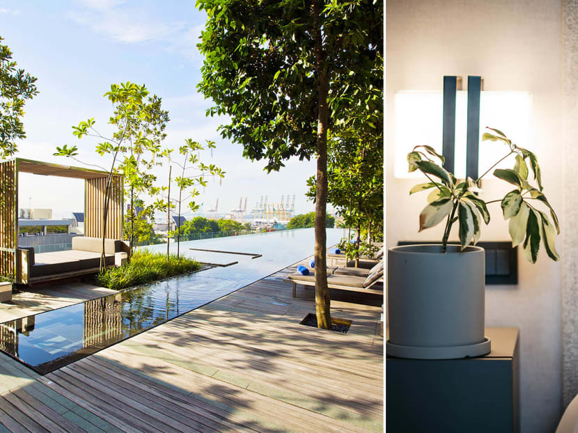 Staycation Review: A Pet-Friendly Aparthotel In Singapore That’ll Put A Spin Bike In Your Room, Or Let You Adopt A Plant