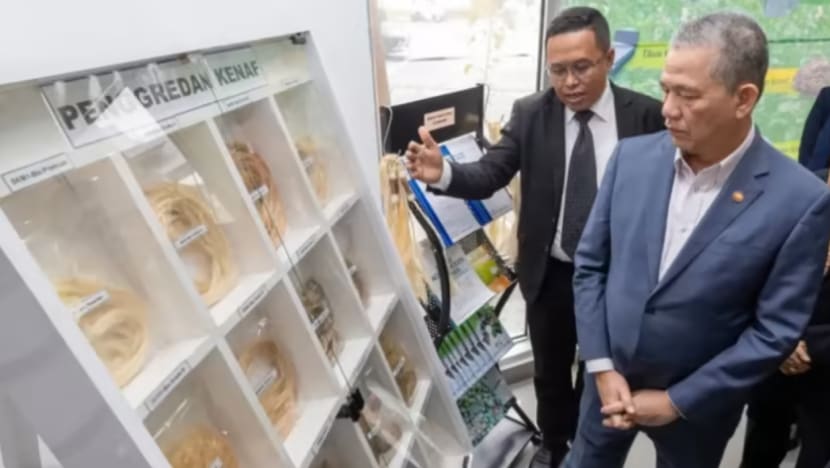 Rundingan antara kementerian tinjau potensi perubatan ganja & ketum, kata DPM M'sia Rundingan antara kementerian tinjau potensi perubatan ganja & ketum, kata DPM M'sia
