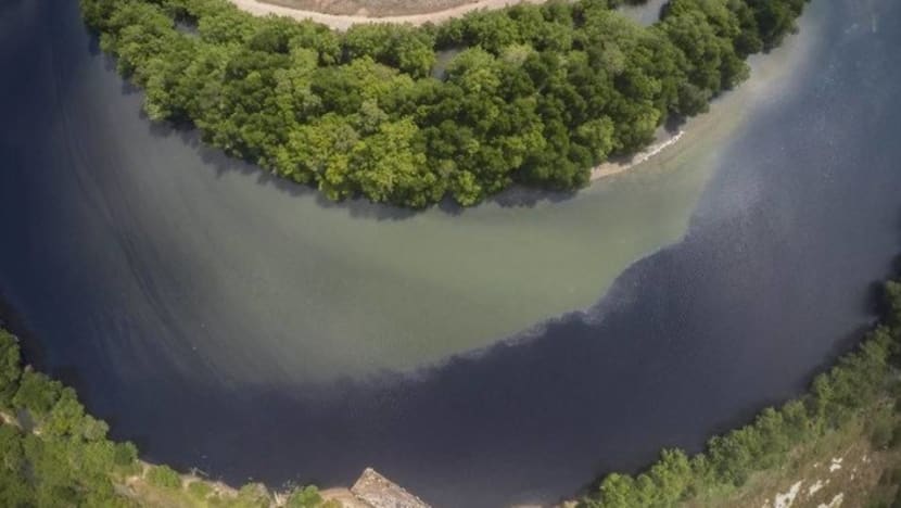 Explainer: What are the implications of dry dams and polluted rivers in Johor? Explainer: What are the implications of dry dams and polluted rivers in Johor?