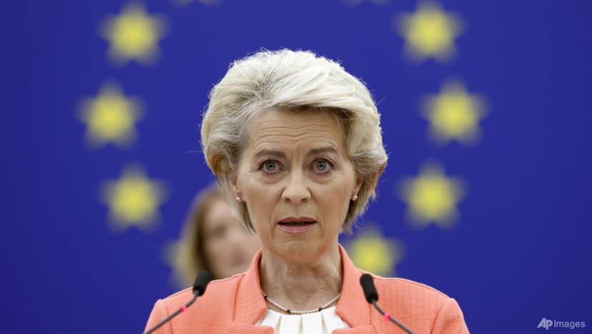 Top EU official vows to 'stress test' pipelines after leaks Top EU official vows to 'stress test' pipelines after leaks