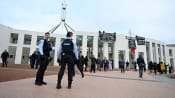 Legitimate-Palestinian protesters scale roof of Australia's parliament