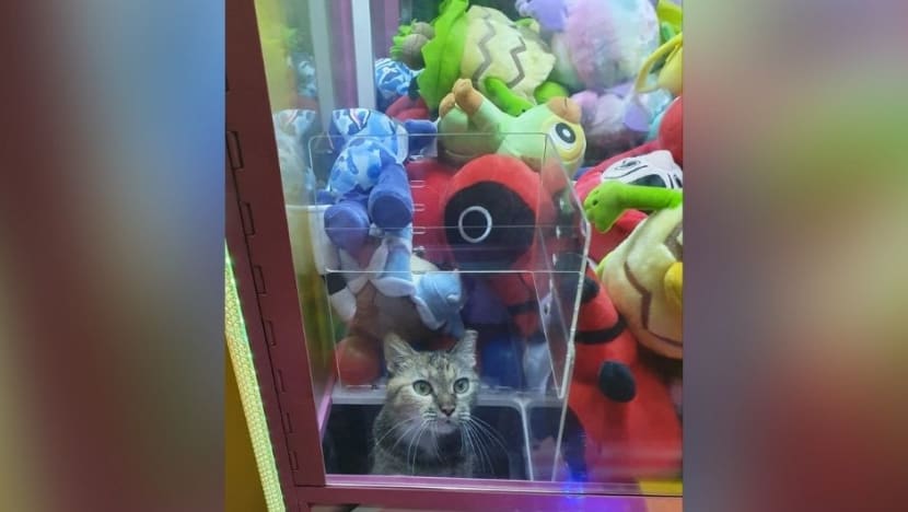 Gambar Pilihan Hari Ini Gambar Pilihan Hari Ini