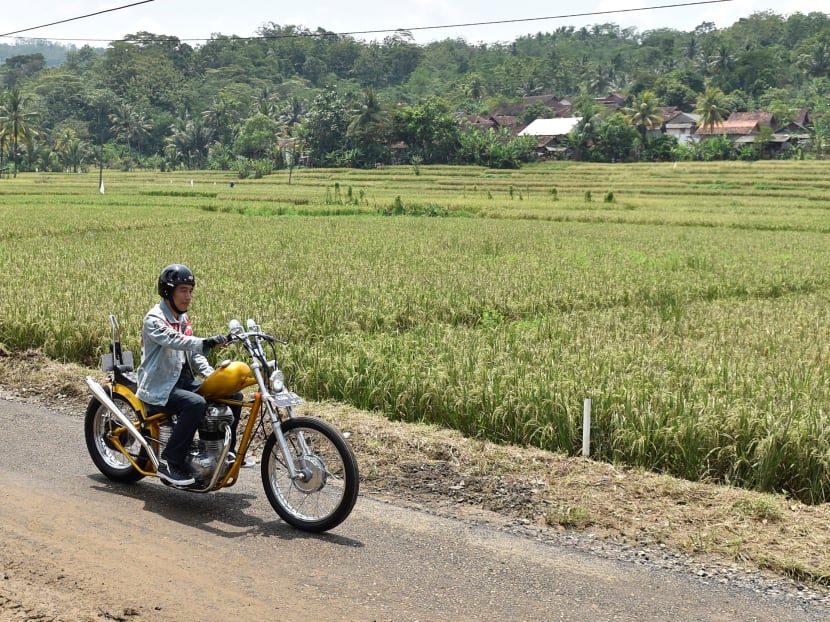 Indonesian President Joko Widodo, seen here riding a Royal Enfield motorbike during his visit to Pelabuhan Ratu beach in Sukabumi in April, is likely to bolster his own Islamic credentials to win over the support of prospective voters with pious background.