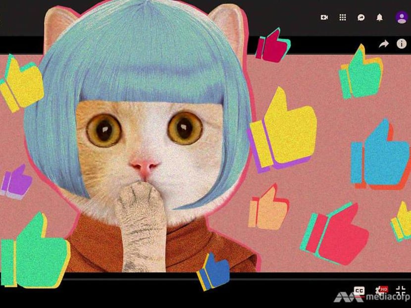 Strange, gross and kitty cats: YouTube video genres we secretly like to watch Strange, gross and kitty cats: YouTube video genres we secretly like to watch