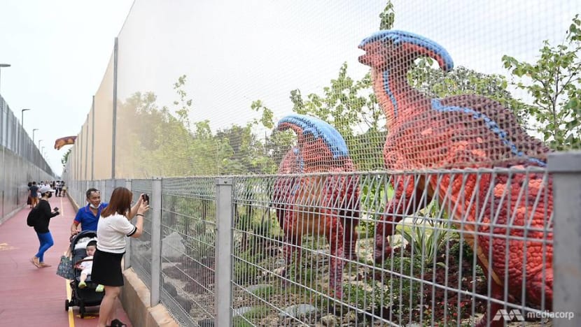 Additional overhead safety netting installed at Changi Jurassic Mile after incident involving stray golf ball Additional overhead safety netting installed at Changi Jurassic Mile after incident involving stray golf ball