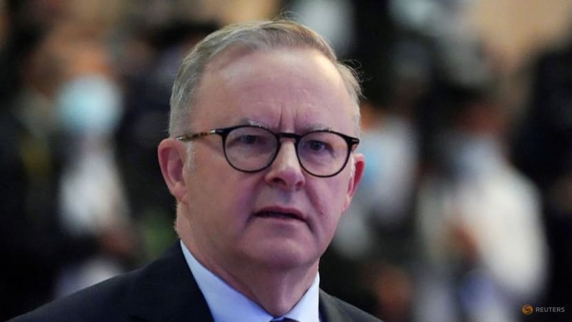 Australia to diversify trade, foreign investment says PM Albanese ahead of India visit