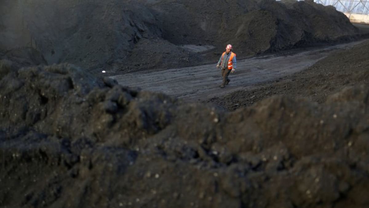 Trader terus mencari batu bara mahal setelah China menekan harga