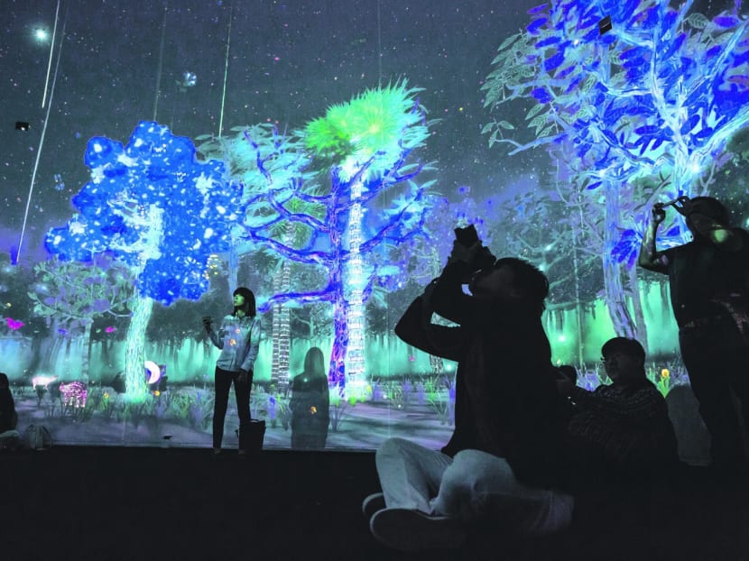 Digital animation brings S'pore’s lush rainforests to life at National Museum