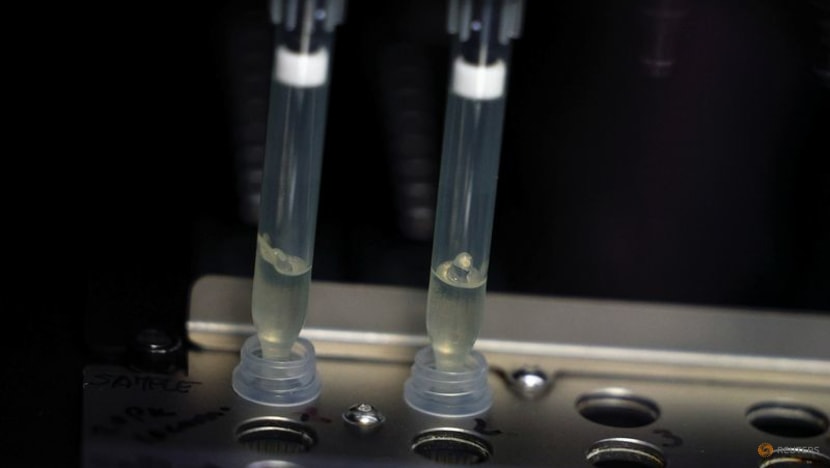 Spain approves 'dose-sparing' of monkeypox vaccine Spain approves 'dose-sparing' of monkeypox vaccine