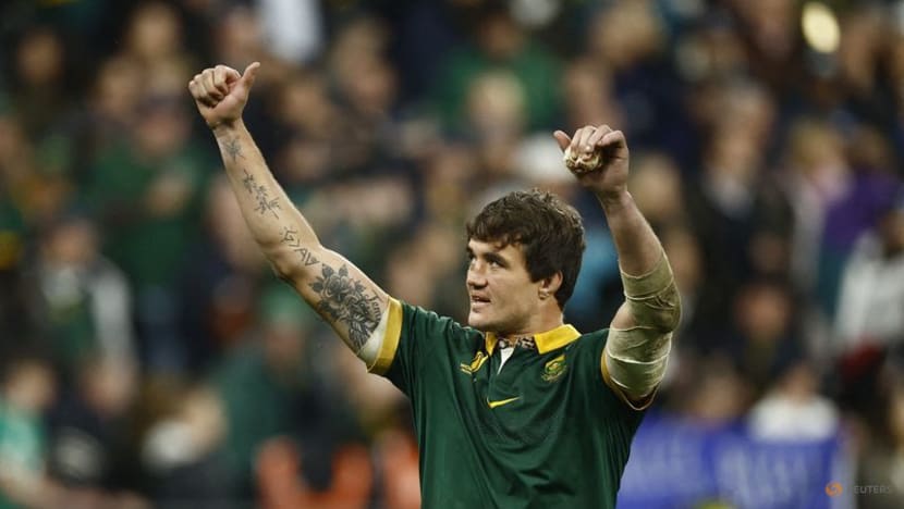 Four Springbok World Cup winners return for autumn internationals