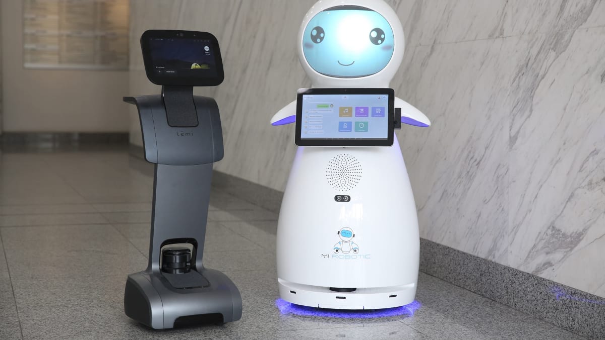 Temi robot sales
