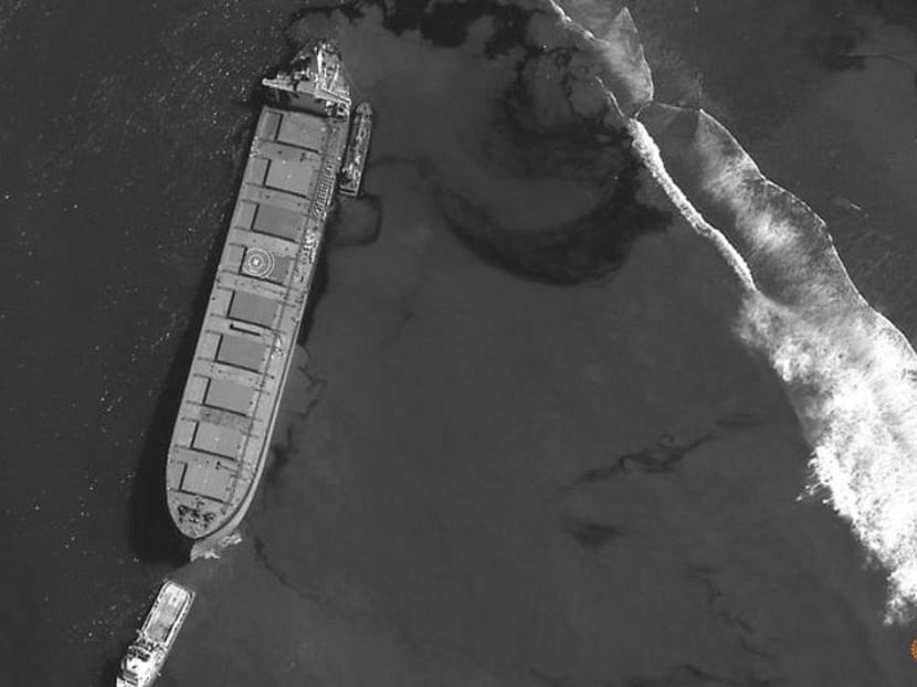 Anxious Mauritians use hair to stem Japanese ship's oil spill Anxious Mauritians use hair to stem Japanese ship's oil spill