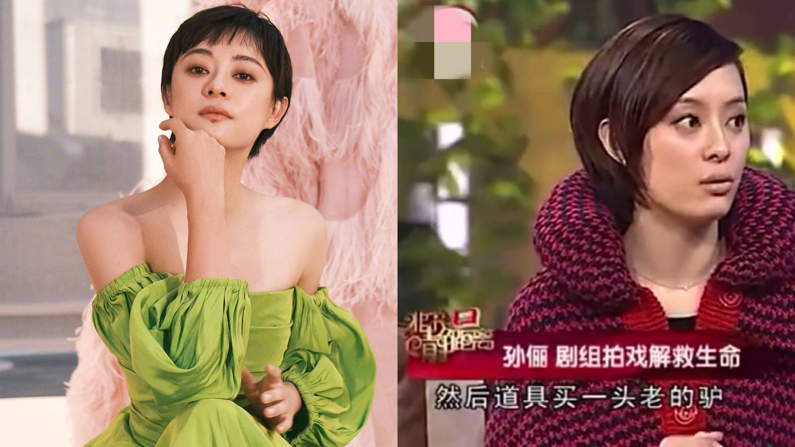 Sun Li Once Saved A Donkey From Being Blown Up For Real During A Drama Shoot Sun Li Once Saved A Donkey From Being Blown Up For Real During A Drama Shoot