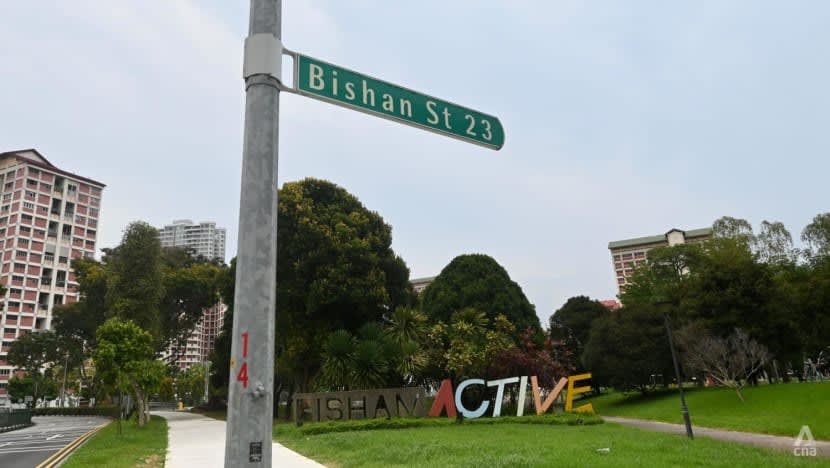 Amah didakwa bunuh lelaki 73 tahun di Bishan Amah didakwa bunuh lelaki 73 tahun di Bishan