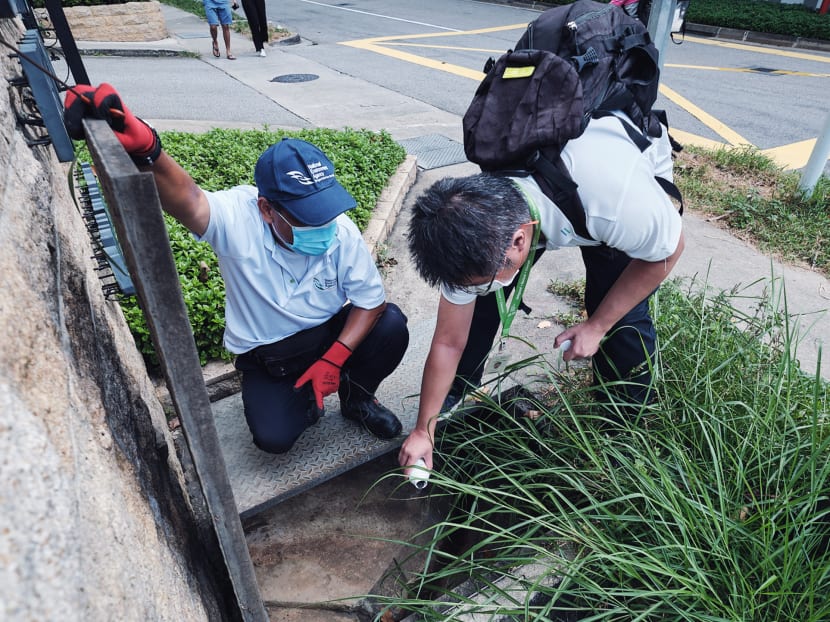 Officers from the National Environment Agency applying larvicide to kill mosquito larvae in a drain. The agency carried out 107,000 inspections of homes and detected and destroyed 2,600 mosquito breeding sites in May and June 2020.