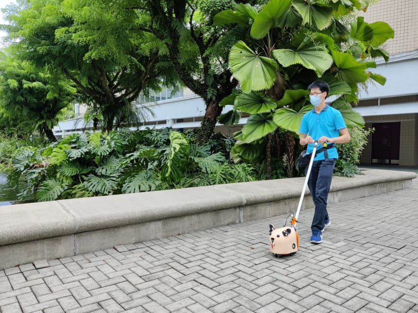 Nanyang Polytechnic student Dallon Au demonstrating the e-Guide Dog.