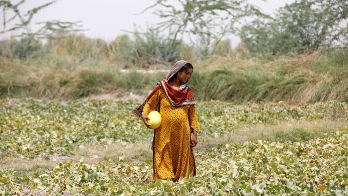 In hottest city on Earth, mothers bear brunt of climate change - CNA
