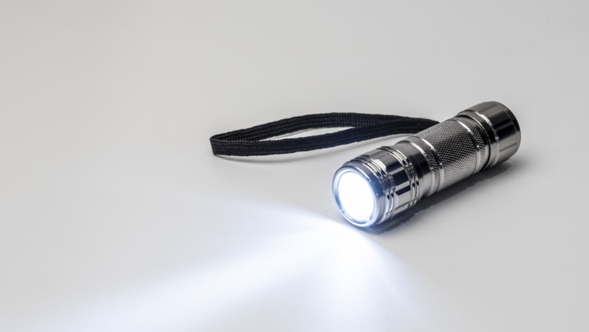 Company director fined S$50,000 for evading GST on imports of flashlights Company director fined S$50,000 for evading GST on imports of flashlights