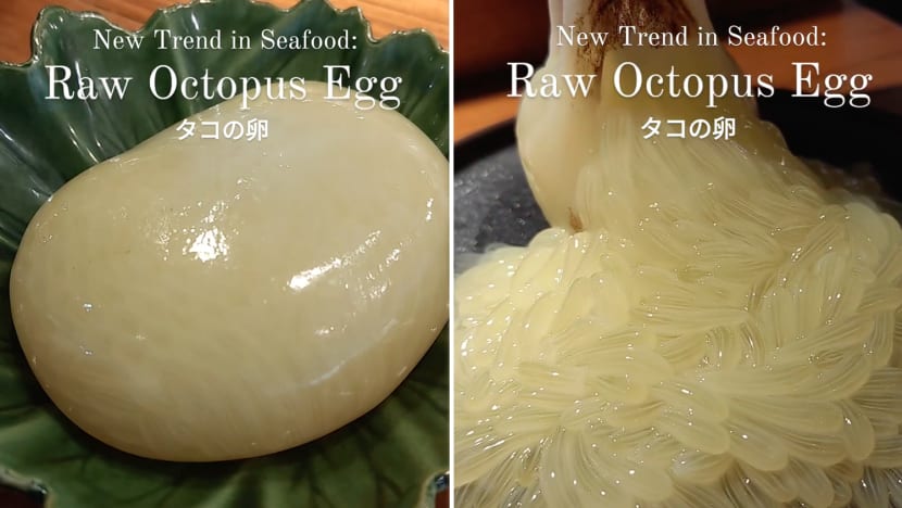 trending koji raw octopus egg tako tamago