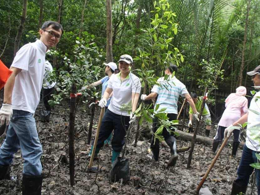 Gallery: Panasonic receives EcoFriend Award for mangrove conservation effort
