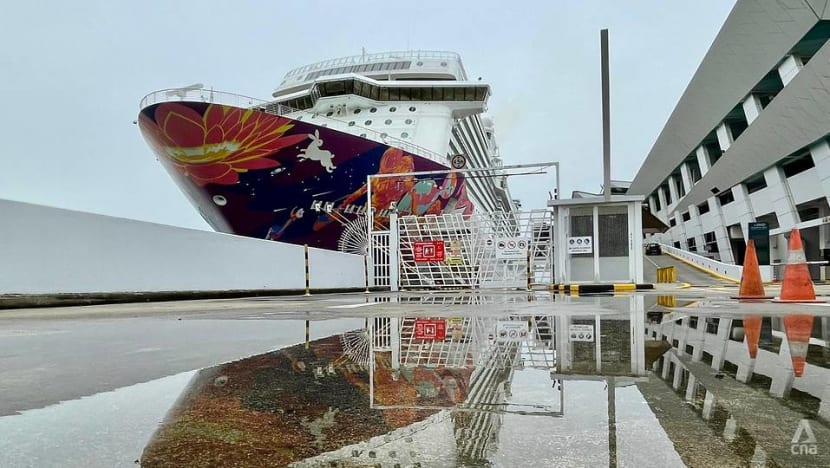 Dream Cruises ship returns to Singapore after COVID-19 case on board Dream Cruises ship returns to Singapore after COVID-19 case on board