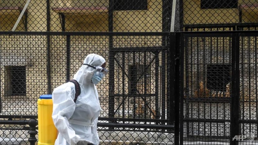 Human activity to blame for coronavirus spread: Study Human activity to blame for coronavirus spread: Study