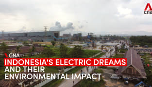 Indonesia's push to be an EV industry player - and the potential cost to environment and livelihoods | Video