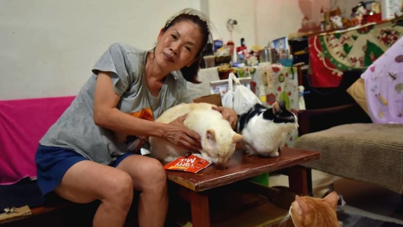 Marine Parade cat lover 'in denial' after body of animal 'relocated' by town council was returned to her Marine Parade cat lover 'in denial' after body of animal 'relocated' by town council was returned to her