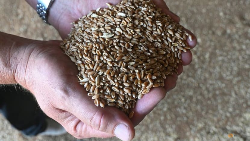 Grain coordination centre launched in Istanbul: Russia's defence ministry Grain coordination centre launched in Istanbul: Russia's defence ministry
