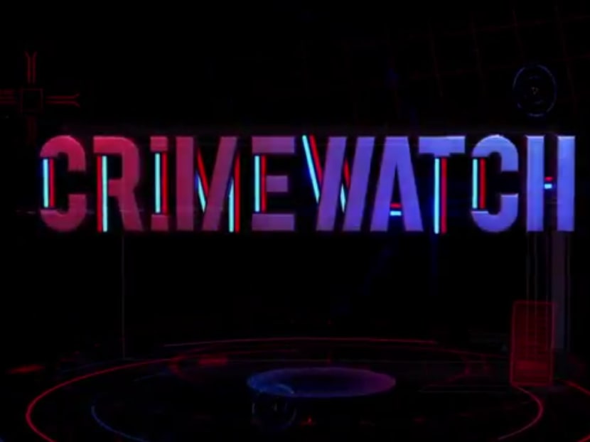 Long-running television programme Crimewatch, which educates the public on ways they could protect themselves from crime, gave a teenager an idea to commit crime.