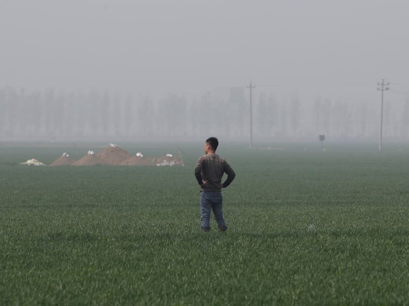 A man stands next to tombs in the field on the outskirts of Rongcheng county, one part of the new special economic zone Xiong'an New Area, Hebei province, China, April 6, 2017. Picture taken on April 6, 2017. Photo: REUTERS