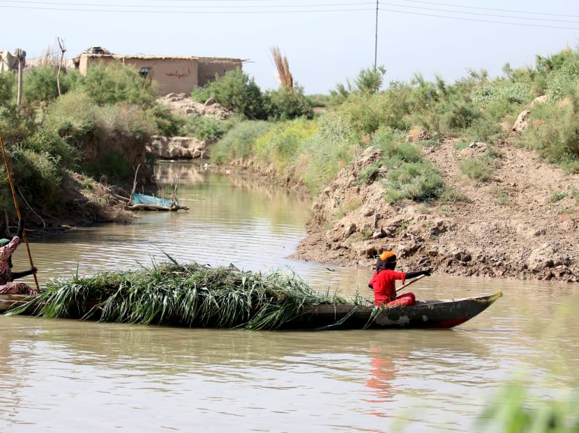 Gallery: Iraq marshlands named UNESCO world heritage site