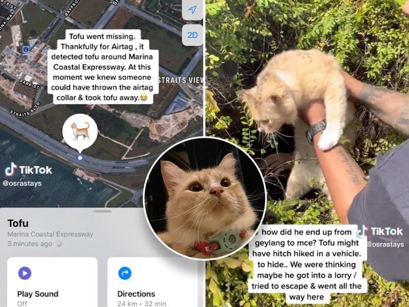 #trending: Apple AirTag helps Singapore family find missing pet cat in bushes along MCE