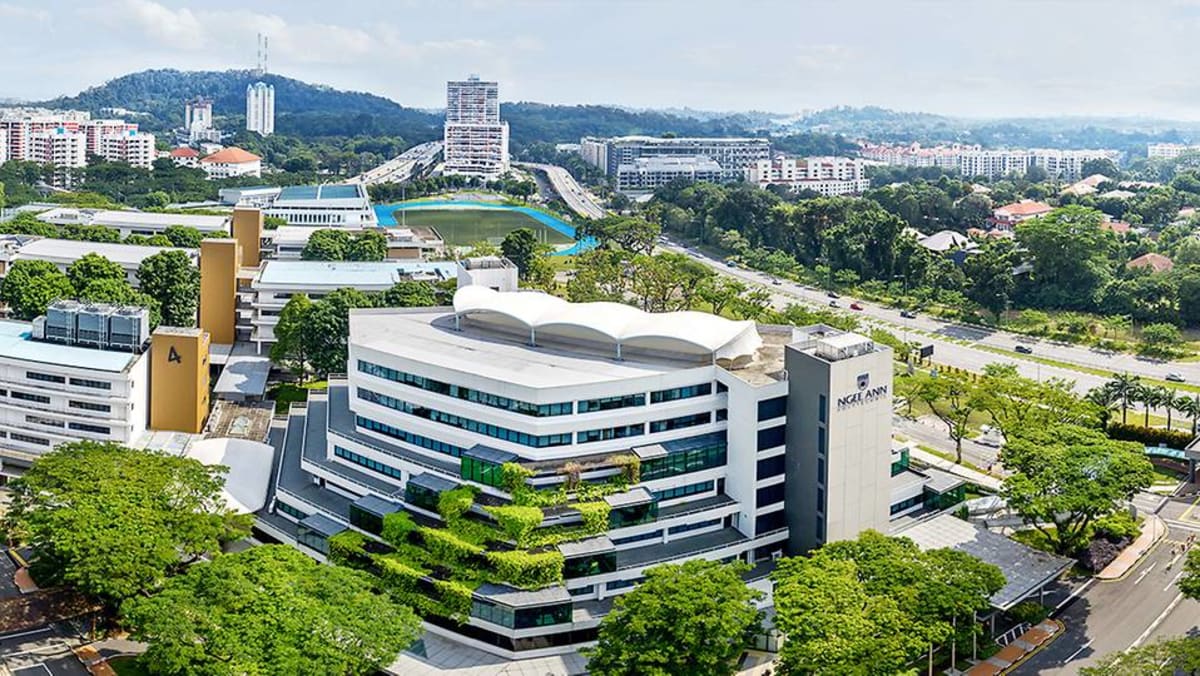 Mediacorp, Ngee Ann Polytechnic partner in agreement to nurture future  media professionals - CNA