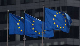 EU to propose clampdown on companies using fake 'green' claims