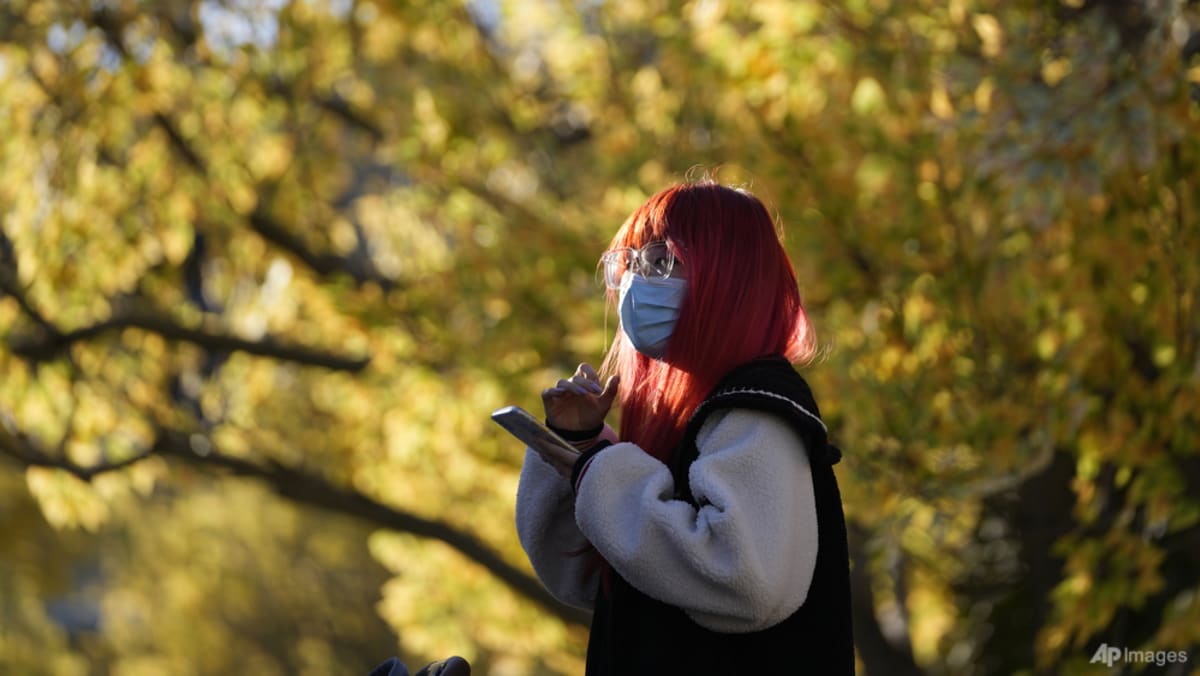 Chinese youth to have smartphone, internet use curbed