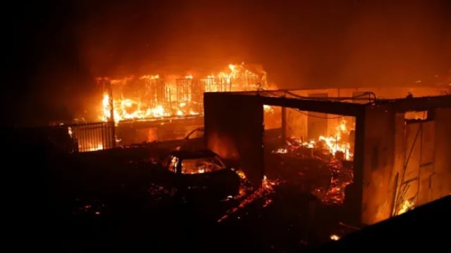 智利发生森林大火至少10人死亡 宣布进入紧急状态