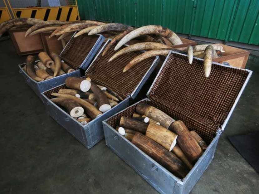 The National Parks Board is evaluating the feedback of a public consultation and will announce details of a ban on elephant ivory soon. The National Parks Board is evaluating the feedback of a public consultation and will announce details of a ban on elephant ivory soon.