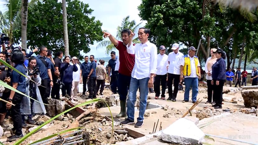 Jokowi arah agensi nasional supaya beli sistem-sistem amaran awal
