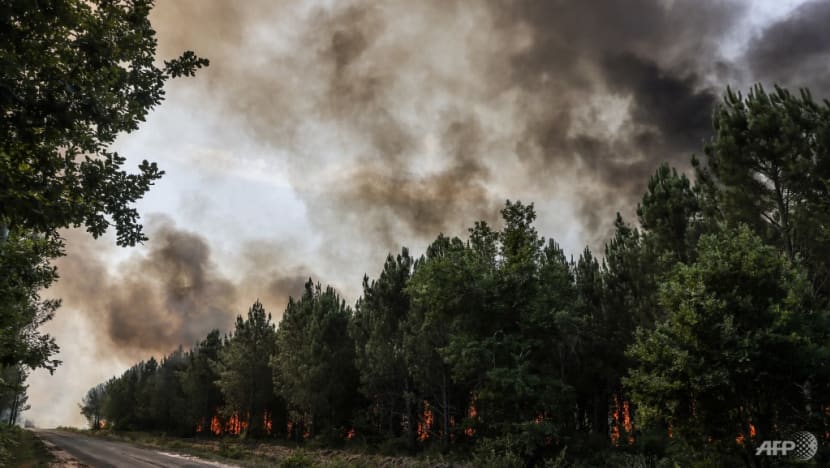 By air, land, French police track forest fire-starters By air, land, French police track forest fire-starters