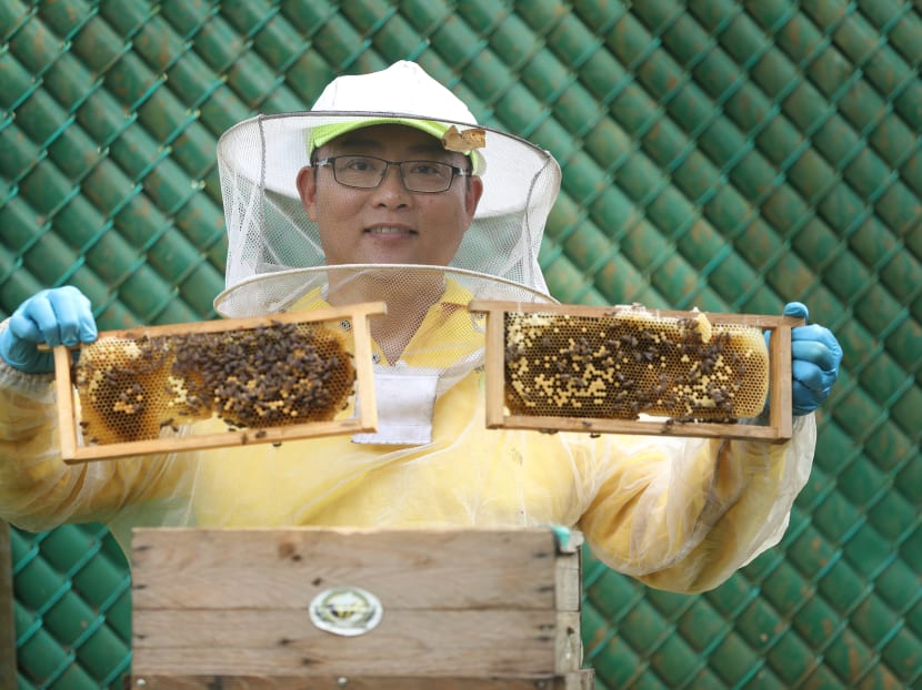 Local beekeeper wants to save pollinators from extermination Local beekeeper wants to save pollinators from extermination