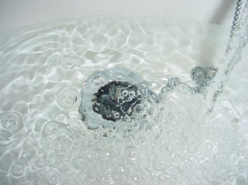 As part of ongoing efforts to shore up Singapore’s water security, national water agency PUB also announced that it has tied up with Japanese firm Kurita Water Industries to set up a new S$2.5 million water research centre. Photo: www.freeimages.com